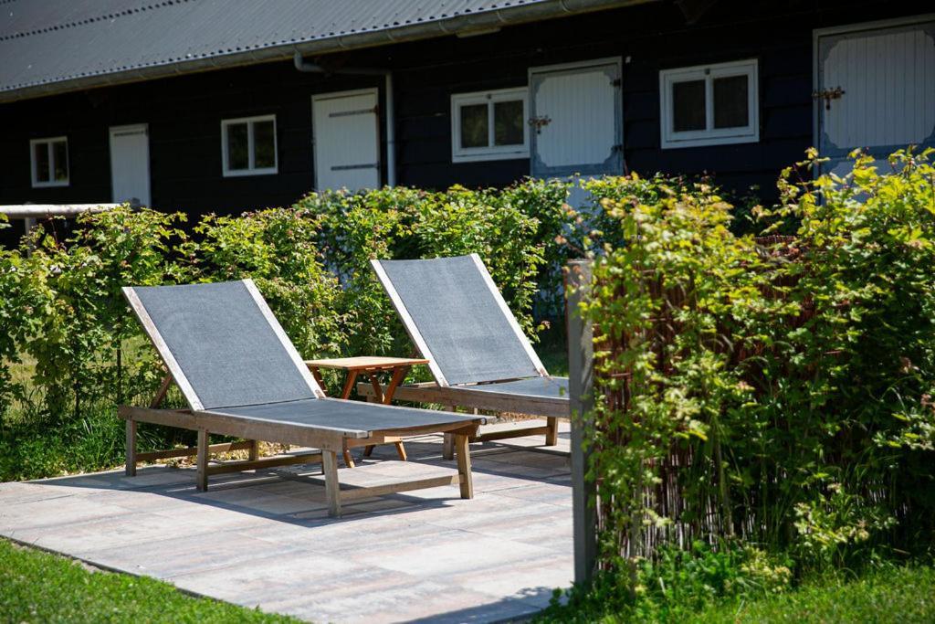 Domburg Holiday Resort Ngoại thất bức ảnh